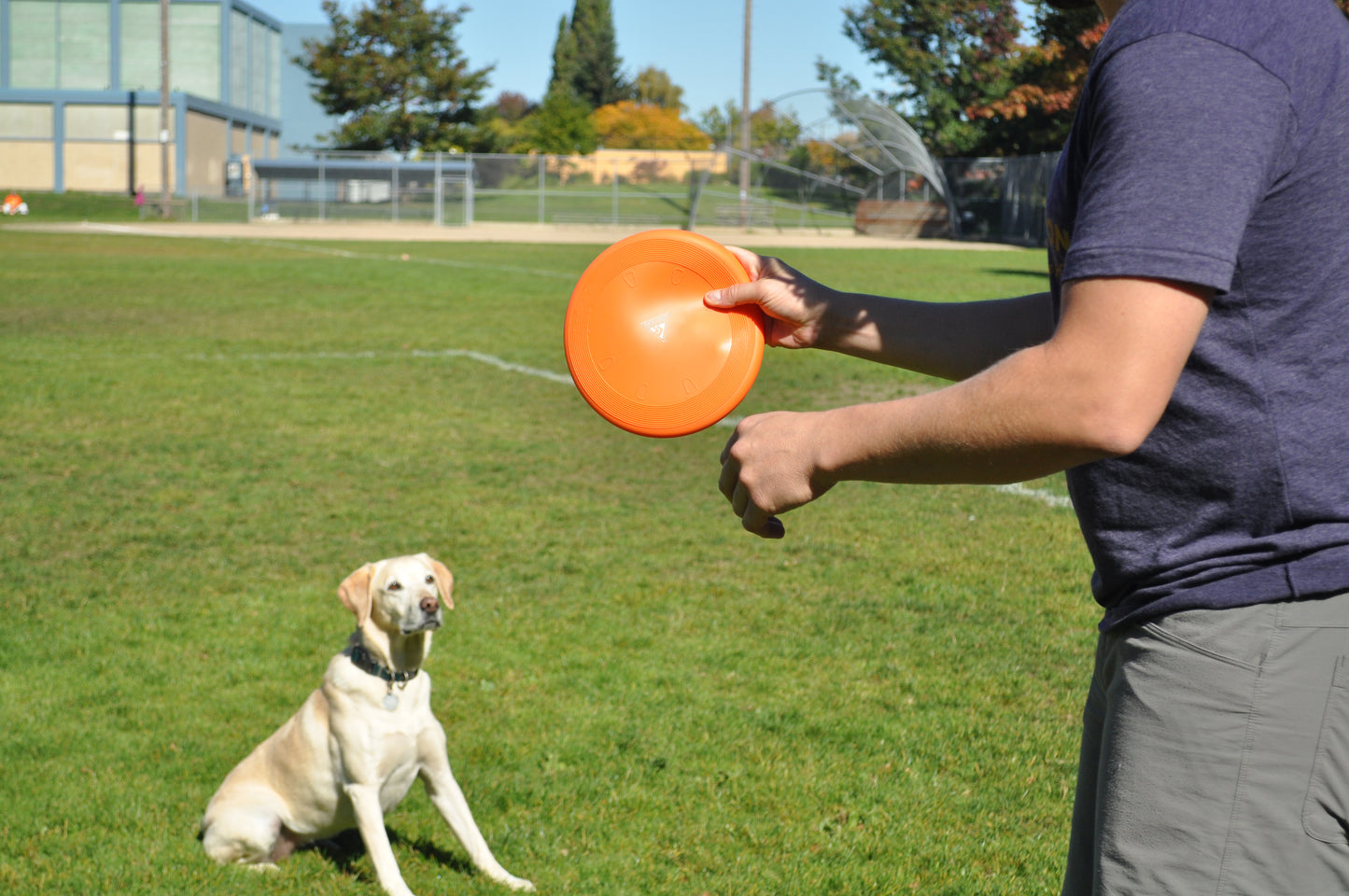 Treat-N-Toyz Go Bowl