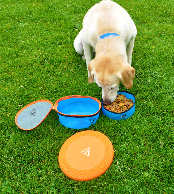 Treat-N-Toyz Go Bowl