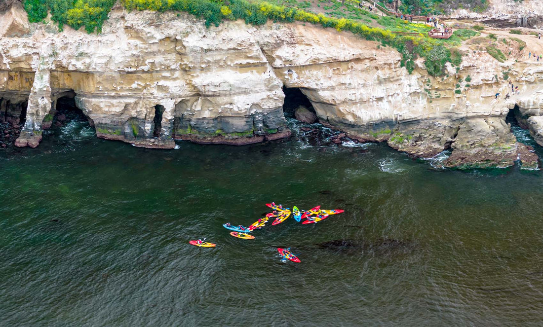 Kayaking the La Jolla Caves and Leopard Sharks: A Paddler's Guide to San Diego's Wildest Mile of Coast