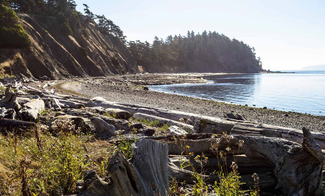 Kayaking to Sucia Island: The San Juans' Best Overnight Is a 2.5-Mile Crossing Away