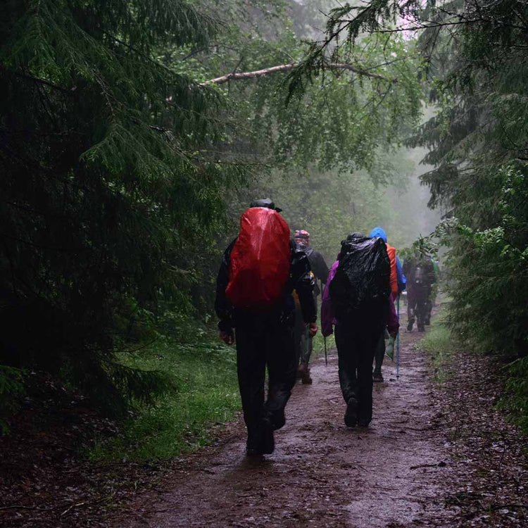 Wet-Weather Essentials