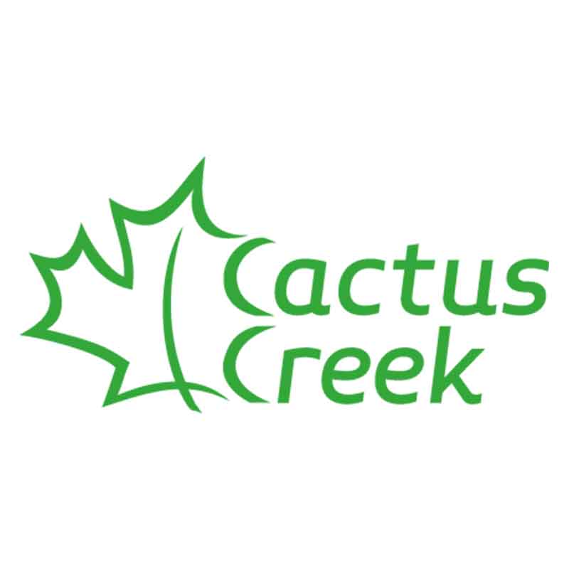 Cactus Creek